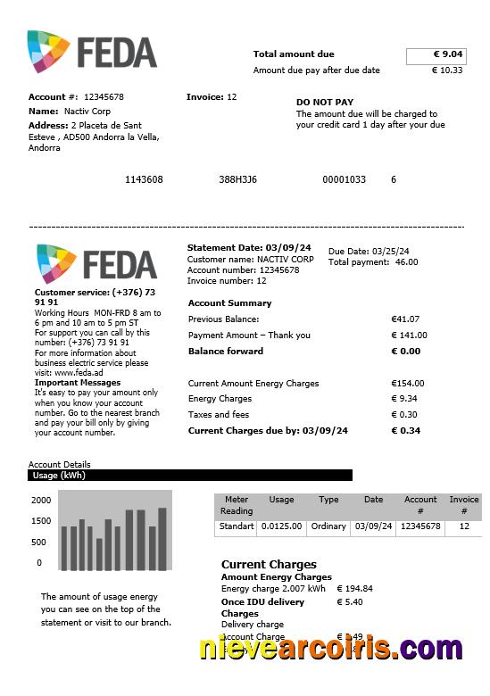Andorra Electric Forces of Andorra business utility bill